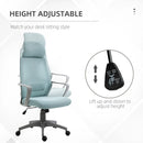 Blue Ergonomic Mesh Office Chair with Lumbar Support & Headrest
