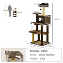 Modern Brown Cat Tree with Scratching Posts and Toy Ball