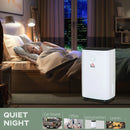 Compact 20L Home Dehumidifier - White LED Screen, Sleep Mode, 24H Timer
