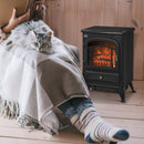 Black Electric Fireplace Heater with Glass View and Wood Burning Flame Effect