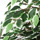 Green 160cm Artificial Ficus Silk Tree with Nursery Pot - Indoor Outdoor Decor