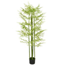 Green Artificial Asparagus Fern Tree in Pot - Indoor Outdoor Decor, 155cm