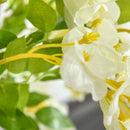 Realistic White Wisteria Tree Faux Plant - Indoor/Outdoor Decor, 160cm