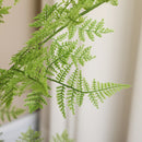 Green Artificial Asparagus Fern Tree in Pot - Indoor Outdoor Decor, 155cm