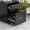 Black 2-Drawer Mobile Filing Cabinet for Home Office