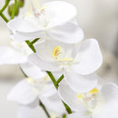 White Artificial Orchid Plant in Pot - Home Decor Wedding Flowers, 17x17x14cm
