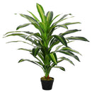 Green Artificial Dracaena Tree - Indoor/Outdoor Decor Plant