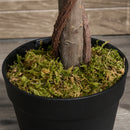 Set of 2 120cm Artificial Green Bay Laurel Topiary Trees - Indoor/Outdoor Decor