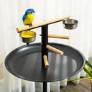 Metal Bird Play Stand with Feeding Station and Wheels, Black