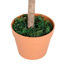 3ft Artificial Olive Tree Indoor Plant in Orange Pot - Green Home Office Decor