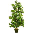 Artificial Bay Leaf Laurel Plant in Green Pot - Indoor/Outdoor Decor, 16x16x120cm