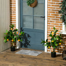 Set of 2 Artificial Lemon and Orange Trees with Pots, Home Indoor Decor, 60cm, Green and Orange