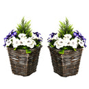 Set of 2 White Artificial Orchid Plants in Wicker Baskets