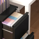 Black Steel 2-Drawer Mobile Filing Cabinet for Letter, A4, Legal Size