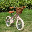 Kids Pink Balance Bike for 3-6 Year Olds with Adjustable Handlebars & Accessories