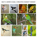 Wooden Outdoor Bird Cage for Finches and Canaries, White with Asphalt Roof