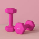 Hexagonal Pink Dumbbell Set - 2 x 3kg Weights for Home Gym
