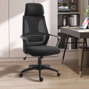 Black Ergonomic Mesh Office Chair with Lumbar Support & Headrest