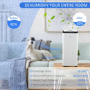 White Portable Dehumidifier with Air Purifier, 24H Timer, 5 Modes - 16L/Day