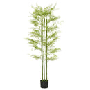 Green Artificial Asparagus Fern Tree in Pot - Indoor Outdoor Decor, 155cm