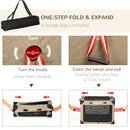 Foldable Pet Carrier with Cushion for Small Dogs and Cats - Gray