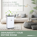 Compact 20L Home Dehumidifier - White LED Screen, Sleep Mode, 24H Timer