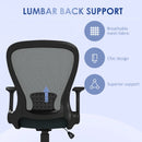 Mesh Office Chair with Armrest and Lumbar Support