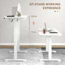 White Electric Standing Desk, Adjustable Height, 120x60cm