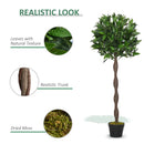 Set of 2 120cm Artificial Green Bay Laurel Topiary Trees - Indoor/Outdoor Decor
