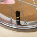 Kids Pink Balance Bike for 3-6 Year Olds with Adjustable Handlebars & Accessories