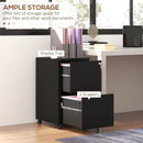 Black 2-Drawer Steel Vertical File Cabinet with Lock & Wheels