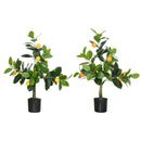 Set of 2 Artificial Lemon and Orange Trees with Pots, Home Indoor Decor, 60cm, Green and Orange