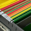 Black 2-Drawer Vertical File Cabinet with Lock, Adjustable Partition - A4/Letter Size