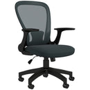 Mesh Office Chair with Armrest and Lumbar Support