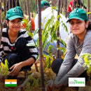 Plant A Tree in India - eco conscious