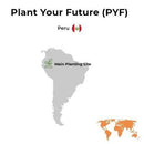 Plant A Tree in Peru - eco conscious