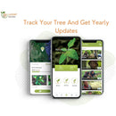 Plant A Tree in Peru - eco conscious