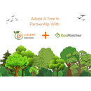 Plant A Tree in Peru - eco conscious